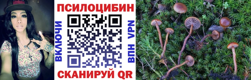 Галлюциногенные грибы MAGIC MUSHROOMS Сорск
